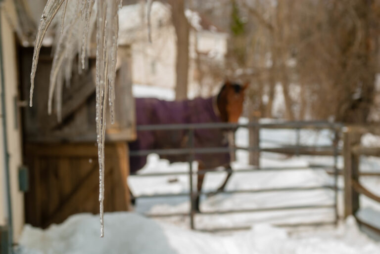 BarnFire_Winter
