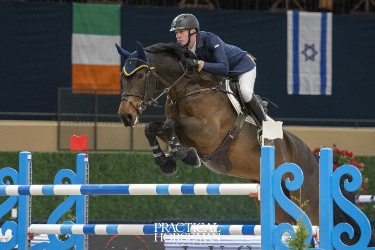Washington International Horse Show