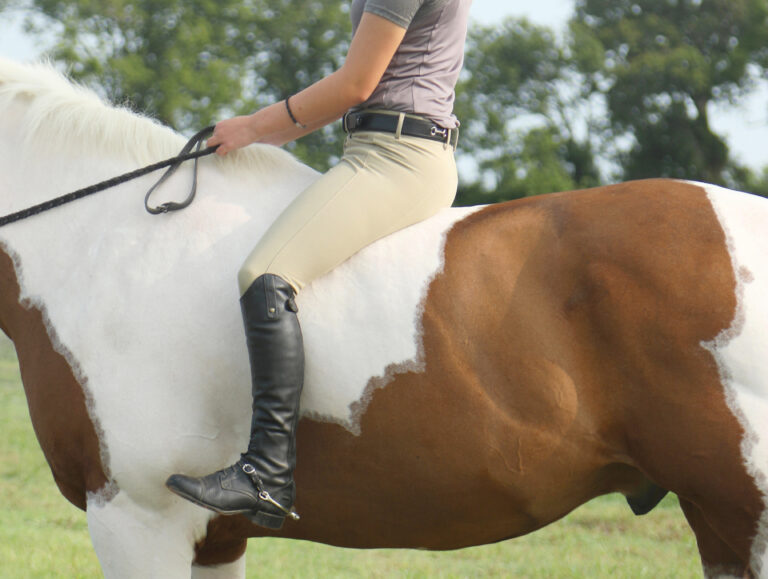 DressageBareback_1