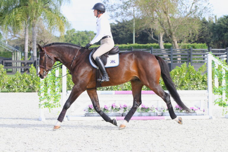 KeriKampsen_Undersaddle21_©SandraOliynyk_IMG_5218