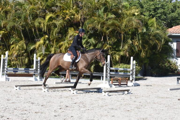 Raised Trot Poles
