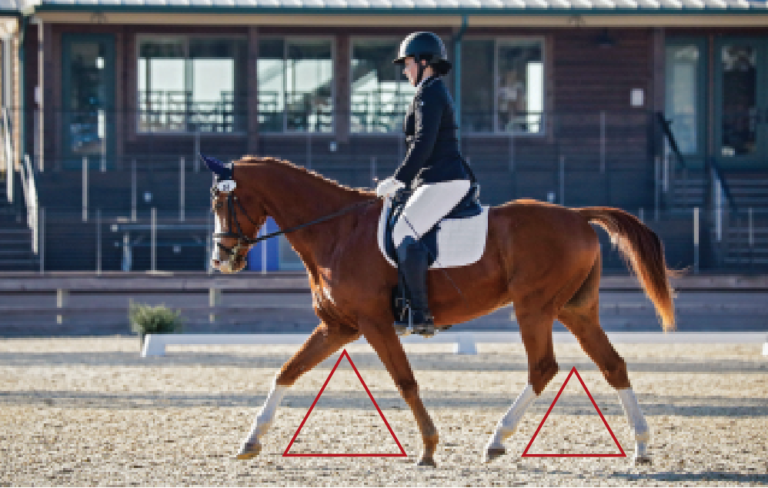 Clinic with Susanne